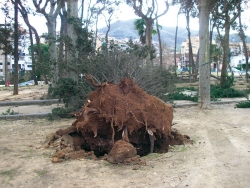 Parc de Manso Calders