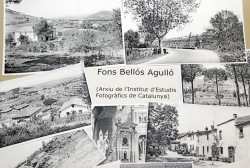 Reproducció d'algunes de les fotografies del fons Bellós