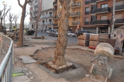 Carrer Major