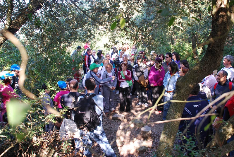 Espai que ocupava el pati d'armes del Castell de Sant Miquel