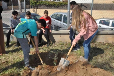 Plantació d'arbres a l'Institut Vinyes Velles