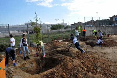 Plantada d'arbres a l'Escola Mogent