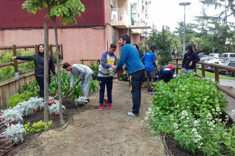 Plantada al jardí urbà amb joves del Centre Juvenil Satèl·lit