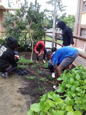 Plantada al jardí urbà amb joves del Centre Juvenil Satèl·lit