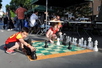Aprenent a jugar als escacs