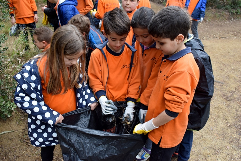 Neteja del bosc del Pedró per part d'alumnes de l'Escola Mogent