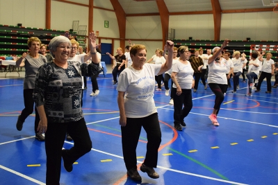 Sessió de gimnàstica per a la gent gran a la carpa polivalent El Sorralet