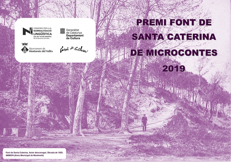 VIII Premi Font de Santa Caterina de Microcontes