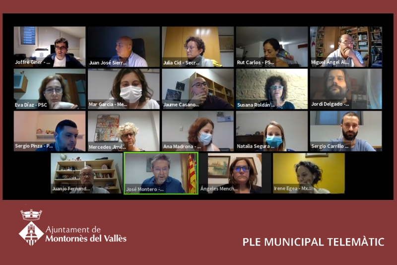 Captura del Ple ordinari telemàtic del mes d'octubre