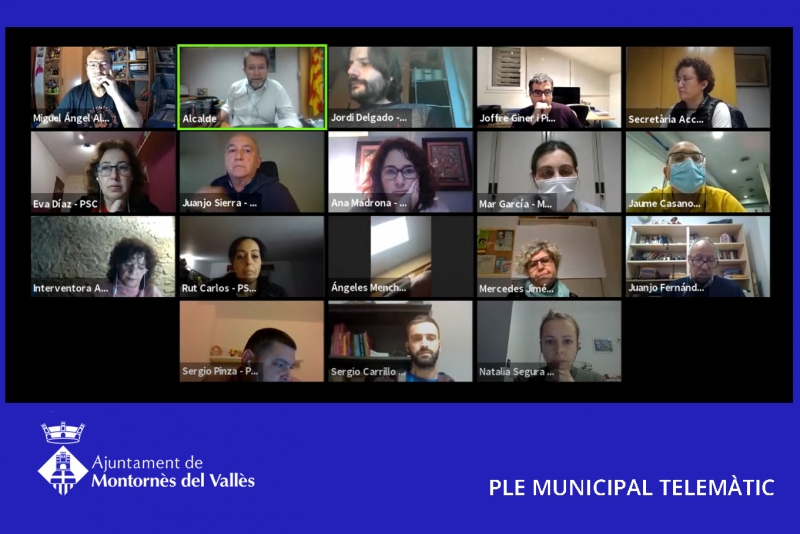 Captura del Ple ordinari telemàtic del mes de novembre