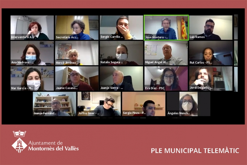 Captura del Ple ordinari telemàtic del mes de desembre