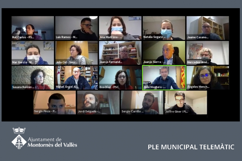 Captura del Ple ordinari telemàtic del mes de gener de 2021