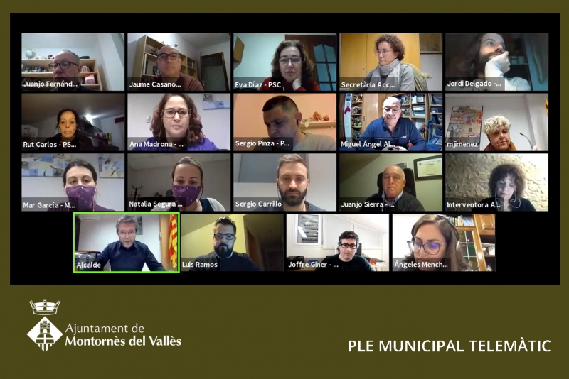 Un moment del Ple ordinari telemàtic del mes de març