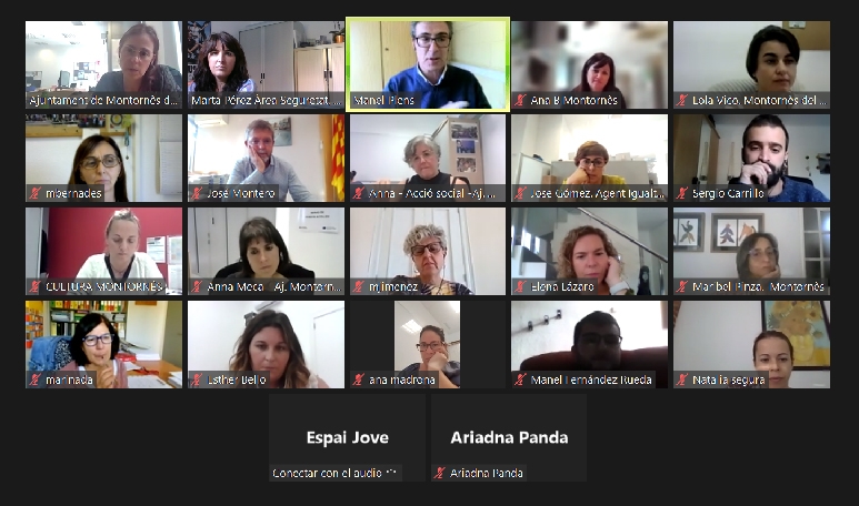 Un moment de la reunió telemàtica de la Comissió Representativa Institucional