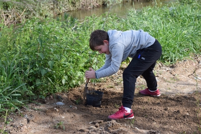 Un moment de la plantada d'aquest matí.