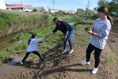 Un moment de la plantada d'aquest matí.