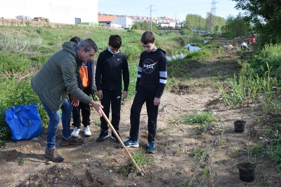 Un moment de la plantada d'aquest matí.