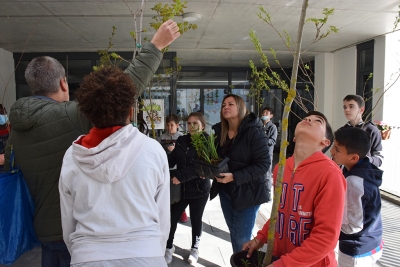 El tècnic de Gestió Natural ha explicat les característiques de cada arbre abans de sortir de l'escola.