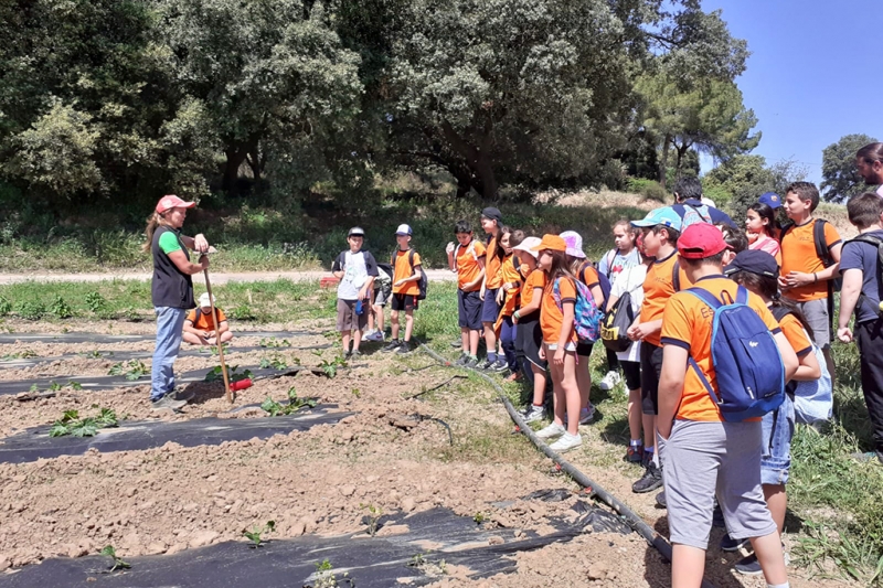 Visita de les cooperatives de l'Escola Mogent a La Kosturica.