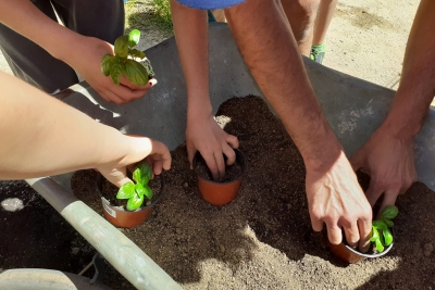 Visita de les cooperatives de l'Escola Mogent a La Kosturica.