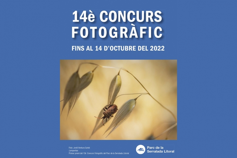 Imatge promocional del concurs de fotografia del PSL.