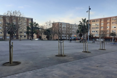 Nou arbrat a la plaça del Poble.