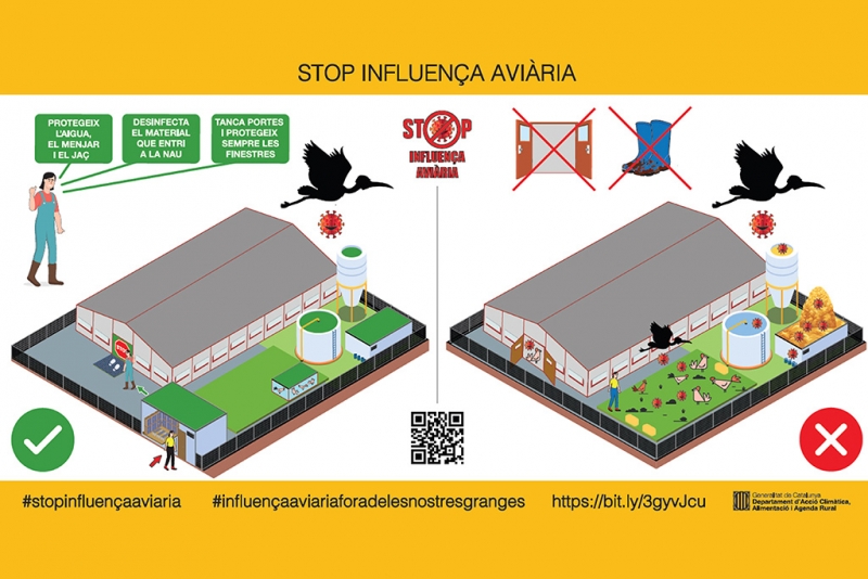 Díptic sobre la prevenció de la influença aviària. (imatge: Departament d’Acció Climàtica, Alimentació i Agenda Rural)