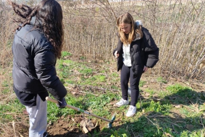 Plantada d'arbres del 3 de març amb alumnes de l'Institut Marta Mata. (imatge: Institut Marta Mata)