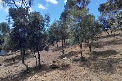 Zona verda al final dels carrers Cirici i Pellicer