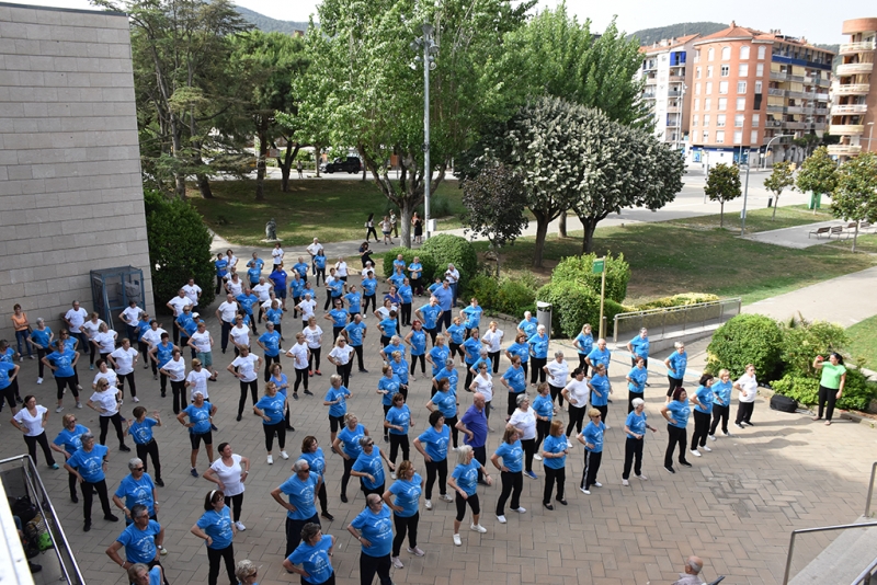 Exhibició de gimnàstica.