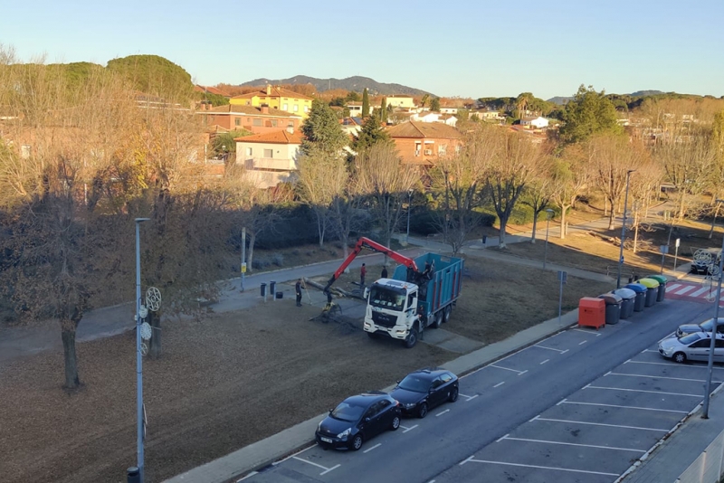 Tala d'arbres al carrer del Molí.