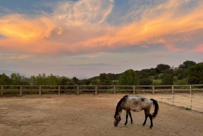 Premi infantil: "Cel de tardor, boscos d’estiu, cavall de primavera", de Vinyet Martí Ferrer.