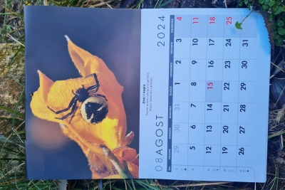 Un exemplar del calendari 2024 (imatge: Parc de la Serralada Litoral).