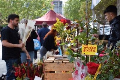 Les roses, protagonistes per Sant Jordi