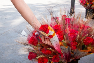 Parades de roses a la plaça de Pau Picasso. (Foto: Ajuntament. Autor: Víctor Camacho)