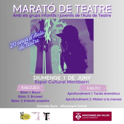 Cartell de l'activitat.