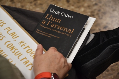 Una de les obres de Lluís Calvo.
