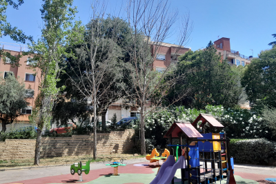 Alguns dels arbres retirats.