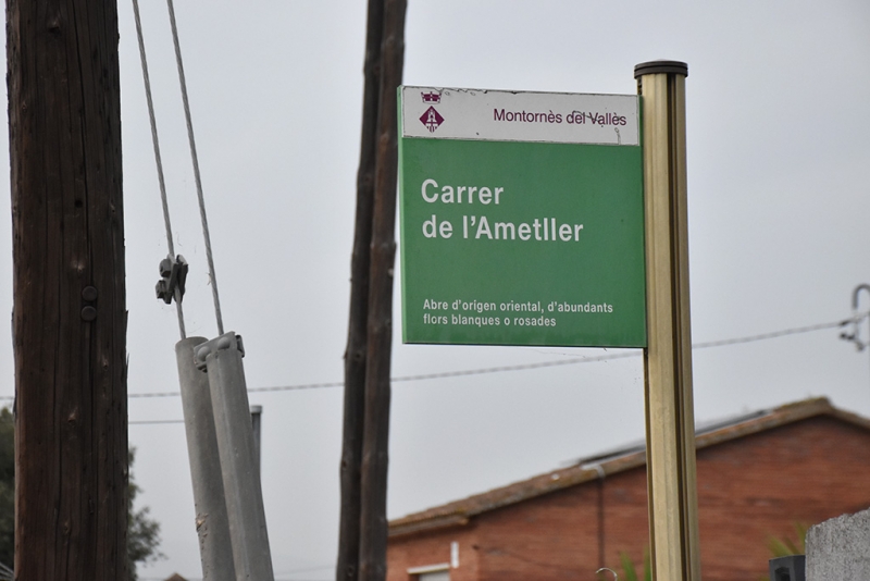 Carrer de l'Ametller.