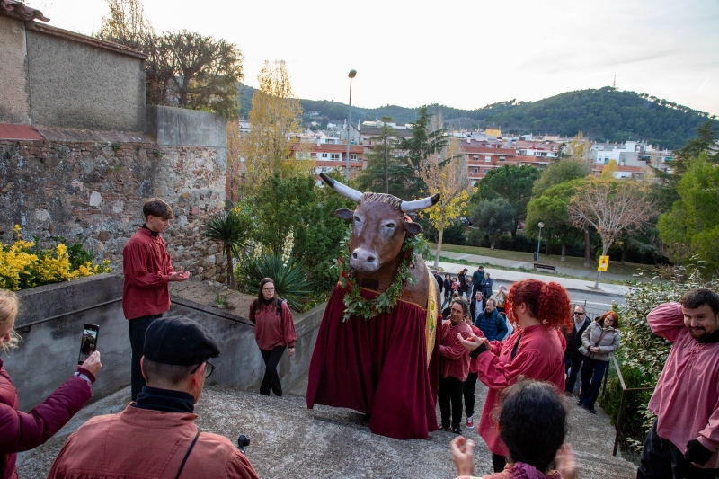 29/11/2025 - Aplec de Sant Sadurní.