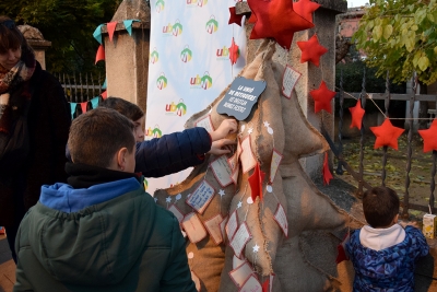 La Unió de Botiguers ha fet un arbre dels desitjos.