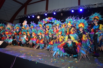 1r premi comparsa gran: "Ritme Colibrí".