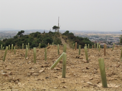 Preservació de l'entorn natural del dipòsit 