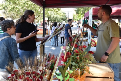 Hi ha hagut roses de tots els colors.