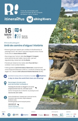 Cartell de l'activitat.