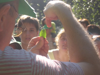 Els participants van poder conèixer algunes de les varietats vegetals de la zona