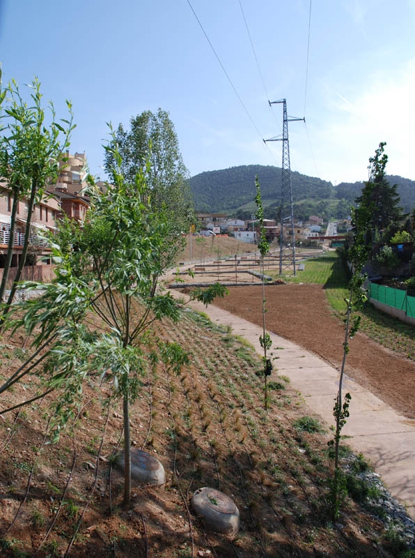 Vista del Parc del Torrent de les Vinyes Velles