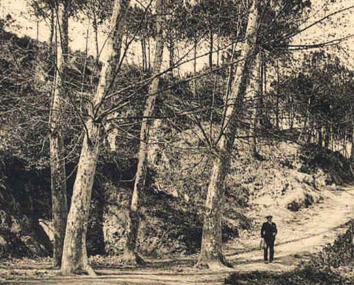 Font de Santa Caterina. Fotografia: Arxiu Municipal de Montornès. Autor: L. Roisin