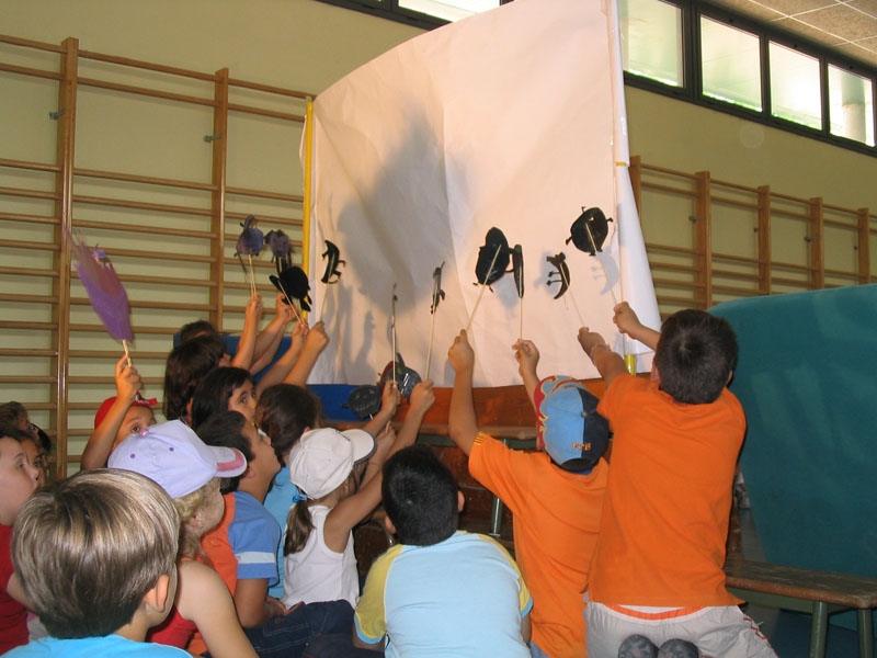 Activitats d'estiu 2007