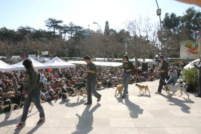 Exhibició i desfilada de mascotes